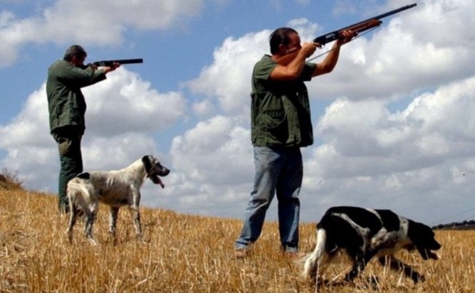 Allarme ambientale: il nuovo DDL sulla caccia minaccia l'ecosistema italiano